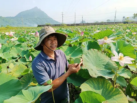 Hà Giang: “Chăm cây như chăm con” tại Trung tâm KHKT giống cây trồng Đạo Đức