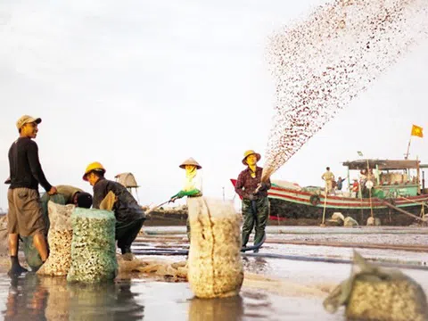 “Trên bãi biển đời ngao” - hay là vẻ đẹp của cái chết sống lại