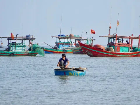 Thanh Hoá: Ngư dân xã Hải Hà bội thu mùa ruốc