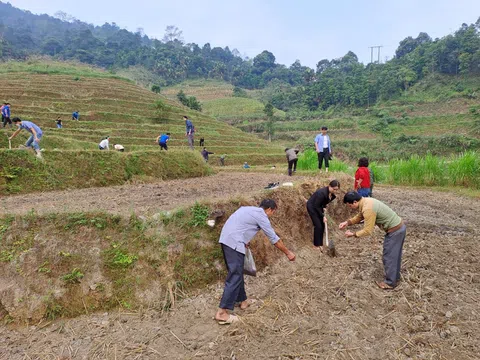 Hà giang: Phát động mô hình “Hoa cải vàng trên đất đồi” để phát triển du lịch