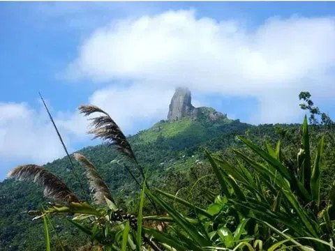 Trứng luộc