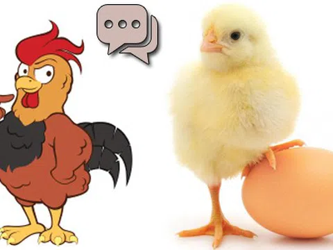 Giải mã bí ẩn mối liên hệ giữa con gà và quả trứng gà
