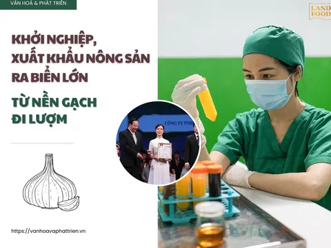 Khởi nghiệp, xuất khẩu nông sản ra biển lớn từ nền gạch đi lượm