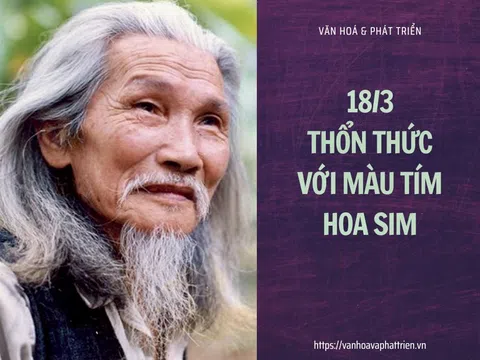 18/3 thổn thức với "Màu tím hoa sim"