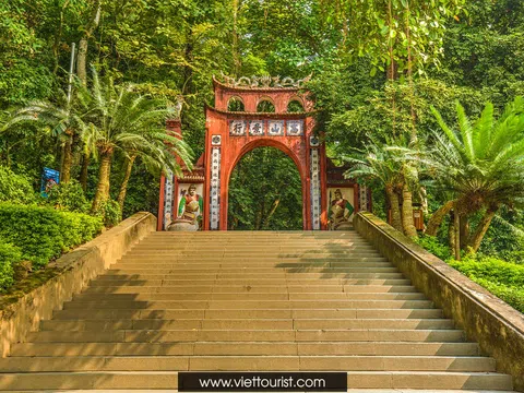 Hành trình về Đất Tổ