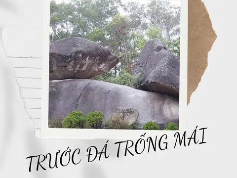 Trước đá trống mái