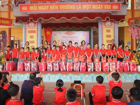 Bắc Giang phát triển Mạng liên kết Bảo vệ quyền trẻ em