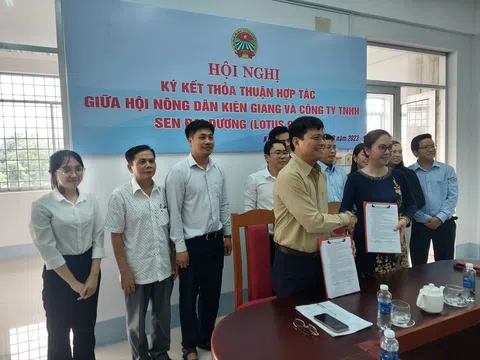 Kiên Giang: Ký kết thoả thuận hợp tác du học, việc làm và thương mại