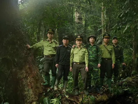 Tuyên Quang: Na Hang quản lý, bảo vệ rừng