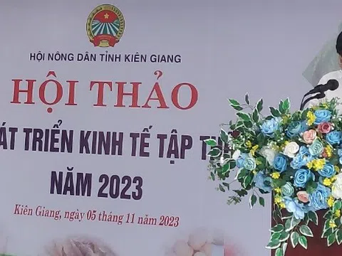 Kiên Giang: “Giải pháp phát triển kinh tế tập thể bền vững”