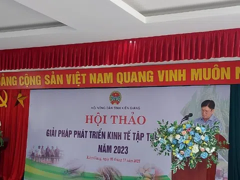 Kiên Giang: Giải pháp phát triển kinh tế tập thể năm 2023