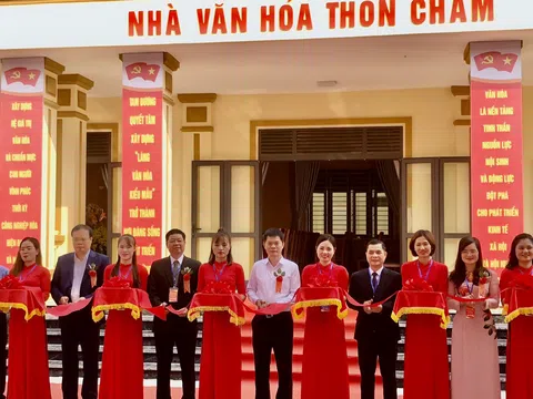 Vĩnh Phúc: Khu thiết chế văn hóa kiểu mẫu làng Chằm (Hoàng Đan - Tam Dương) đi vào hoạt động, góp phần nâng cao đời sống nông thôn mới