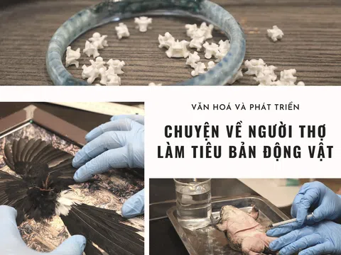 Chuyện về người thợ làm tiêu bản động vật