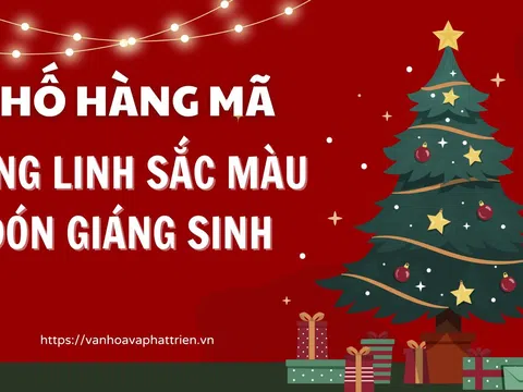 Phố Hàng Mã lung linh sắc màu đón Giáng sinh