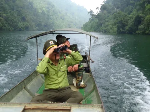 Phóng sự ảnh: Giữ rừng nơi vùng cao Na Hang (Tuyên Quang)