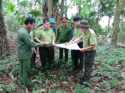 Tuyên Quang: Giữ cho rừng Chiêm Hóa thêm xanh