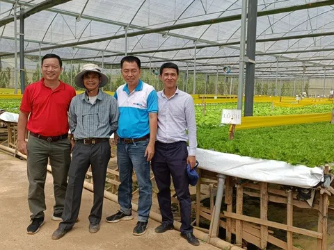 Ecofarm - Thương hiệu Nông sản sinh thái nâng tầm giá trị Việt