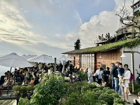 Vĩnh Phúc: Tín hiệu vui đầu năm, hứa hẹn khởi động năm 2024 du lịch gặt hái thành công