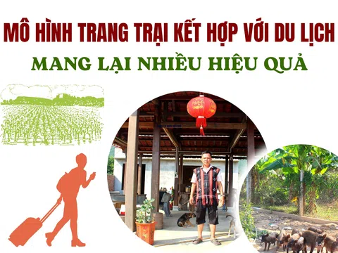 Đà Nẵng: Mô hình trang trại kết hợp với du lịch mang lại  hiệu quả