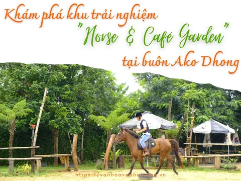 Đắk Lắk: Khám phá khu trải nghiệm “Horse & Café Garden” tại buôn Ako Dhong