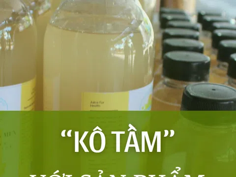 Gia Lai: “Kô Tầm” với sản phẩm nước ép chuối lên men