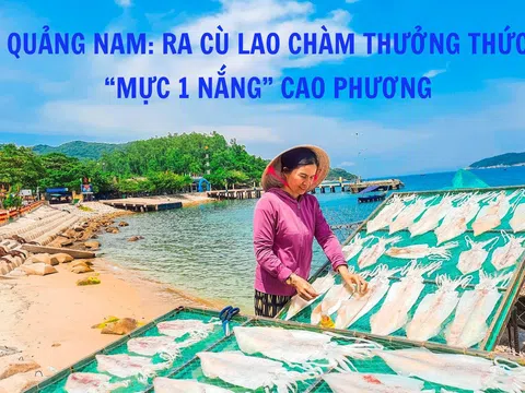 Quảng Nam: Ra Cù Lao Chàm thưởng thức  “mực 1 nắng” Cao Phương