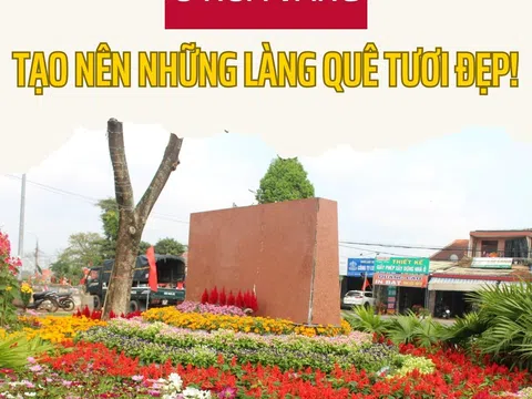 Đà Nẵng: Xây dựng nông thôn mới kiểu mẫu ở Hoà Vang tạo nên những làng quê tươi đẹp!