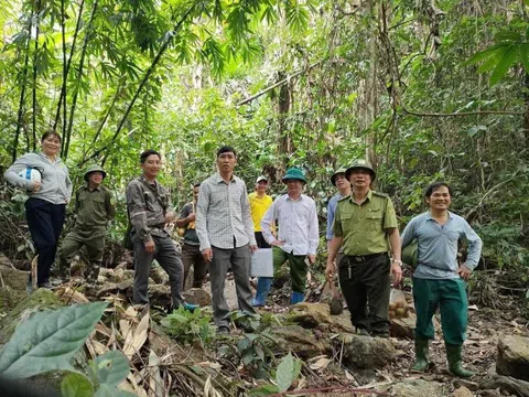 Tuyên Quang: Chiêm Hóa quản lý, bảo vệ rừng