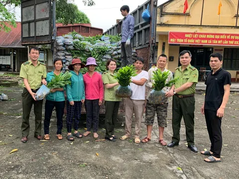 Tuyên Quang: Huyện Chiêm Hóa hỗ trợ dân trồng, bảo vệ, phát trển rừng
