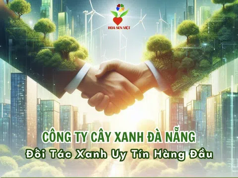 Công ty cây xanh Đà Nẵng - Đối tác tuyệt vời cho dự án cảnh quan xanh