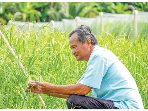 Kiên Giang: Tư Việt-  Nhà khoa học của nhà nông