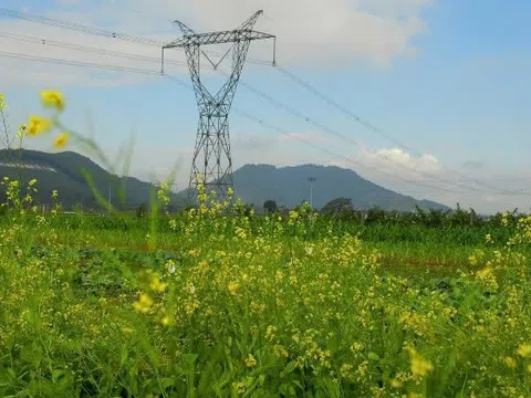 EVN: Nỗ lực hoàn thành vượt tiến độ công trình là hành động thiết thực nhất chống lãng phí trong đầu tư xây dựng