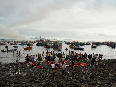 Một thoáng vui buồn trên cù lao Biện