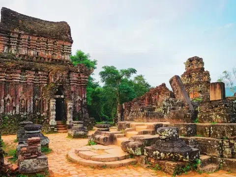 Khám phá Thánh địa Mỹ Sơn: Viên ngọc lịch sử và kiến trúc Chăm Pa tại Đà Nẵng