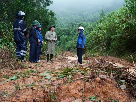 Chủ động ứng phó sạt lở, lũ quét tại Quảng Ngãi