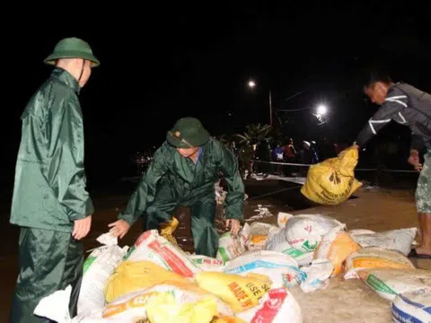 Vụ sạt lở kè biển An Lương: Tinh thần đoàn kết giữa lũ lụt lịch sử