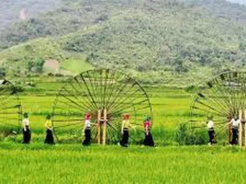 Bảo tồn và phát huy giá trị văn hóa bản địa hướng tới phát triển du lịch bền vững tại tỉnh Sơn La