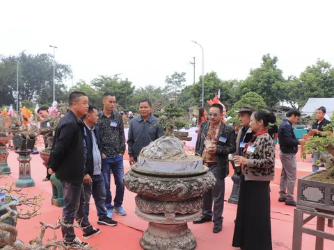 Phú Thọ: Triển lãm tác phẩm sinh vật cảnh nghệ thuật – Điểm hẹn của những tác phẩm giàu giá trị nghệ thuật