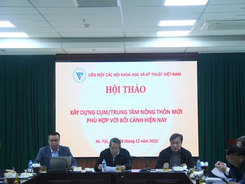 Xây dựng cụm, trung tâm nông thôn mới phù hợp với bối cảnh hiện nay ở Việt Nam