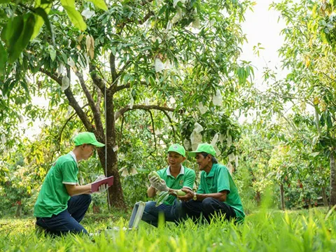 Đồng Tháp: Thúc đẩy phát triển nông nghiệp, nông thôn bằng “đòn bẩy” chính sách tín dụng