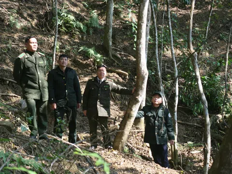 Tuyên Quang: Bền bỉ giữ vững “lá phổi xanh” Nà Hang