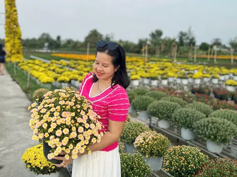 Đồng Tháp chỉ đạo đón Tết Nguyên đán Bính Ngọ vui tươi, lành mạnh