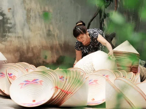 Giải bài toán thị hiếu cho sản phẩm OCOP bằng thiết kế sáng tạo