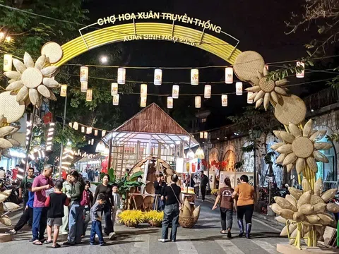 Khám phá chợ hoa Xuân Tết Bính Ngọ 2026 trên phố cổ Hà Nội