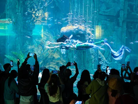 Hòn Tre bùng nổ mùa Tết với bộ ba siêu phẩm giải trí chưa từng có