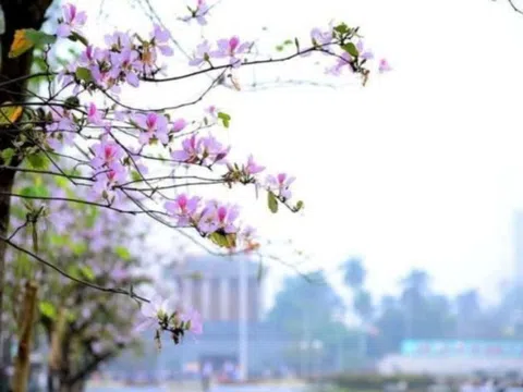 Hà Nội và mùa xuân