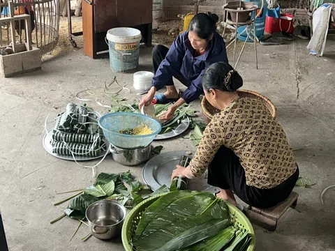 Gói bánh chưng ở Yên Thượng – Tết về từ bếp lửa làng quê
