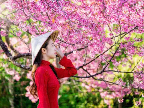 Mùa xuân – Mùa của yêu thương