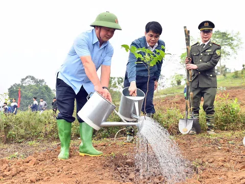 Tuyên Quang: Phát động ‘Tết trồng cây đời đời nhớ ơn Bác Hồ’ và phong trào thi đua năm 2026