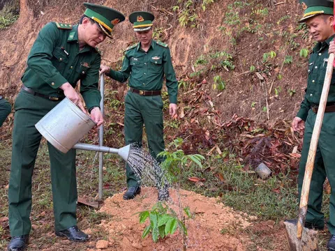 Quảng Ngãi: Tết trồng cây – gieo mầm xanh nơi biên cương